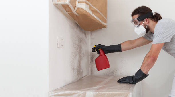 Attic Mold Remediation treatment on roof deck in Belvidere
